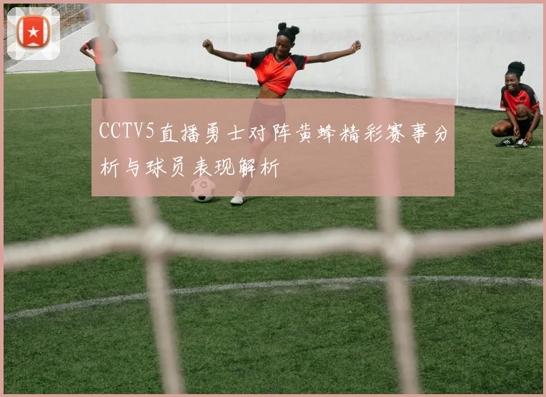 CCTV5直播勇士对阵黄蜂精彩赛事分析与球员表现解析