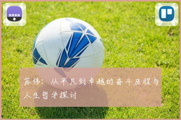苏伟：从平凡到卓越的奋斗历程与人生哲学探讨