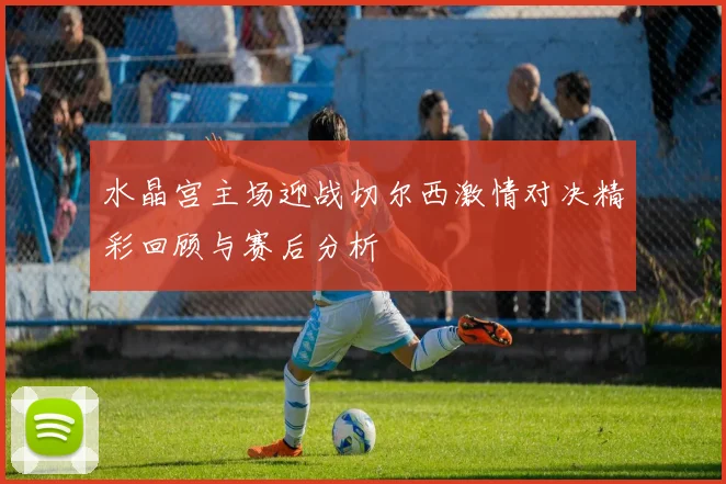 水晶宫主场迎战切尔西激情对决精彩回顾与赛后分析