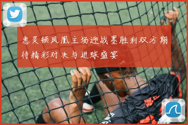 惠灵顿凤凰主场迎战墨胜利双方期待精彩对决与进球盛宴
